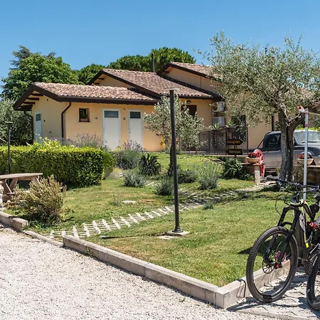 Agriturismo Il Girasole Assisi-3